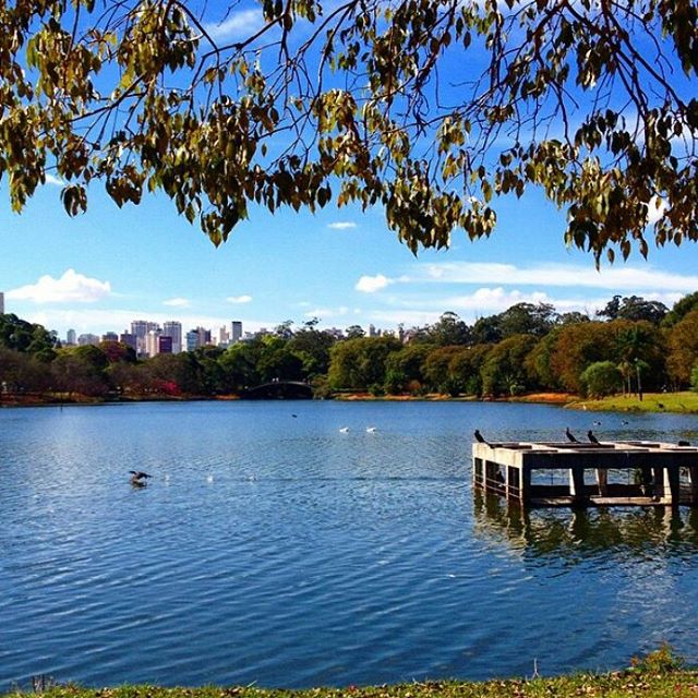 Parque do Ibirapuera @parquedoibirapuera